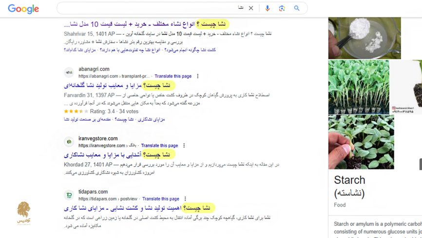 مردم با جستجوی "نشا" به دنبال تحقیق هستند نه خرید، از فاکتورهای رتبه بندی گوگل